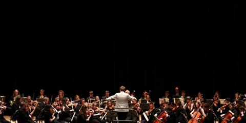 symphony orchestra for web